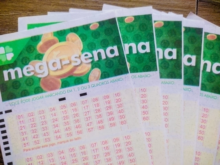 Foto: Portal do Holanda