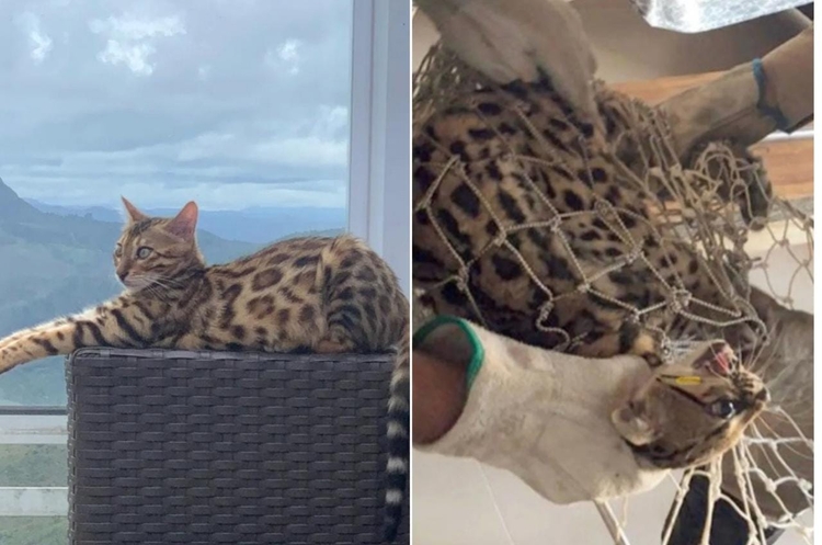 Foto: Reprodução/Redes Sociais