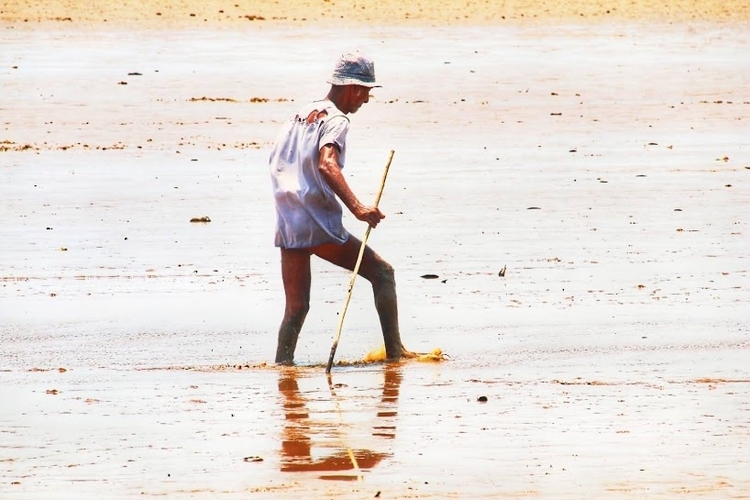 Foto:  Jander Robson/Portal do Holanda
