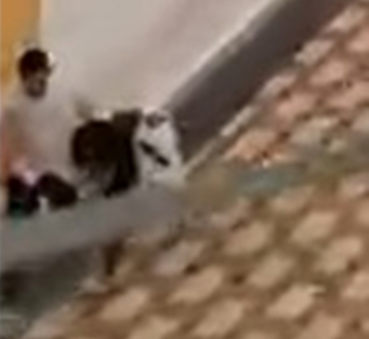 Foto: Radar Amazônico