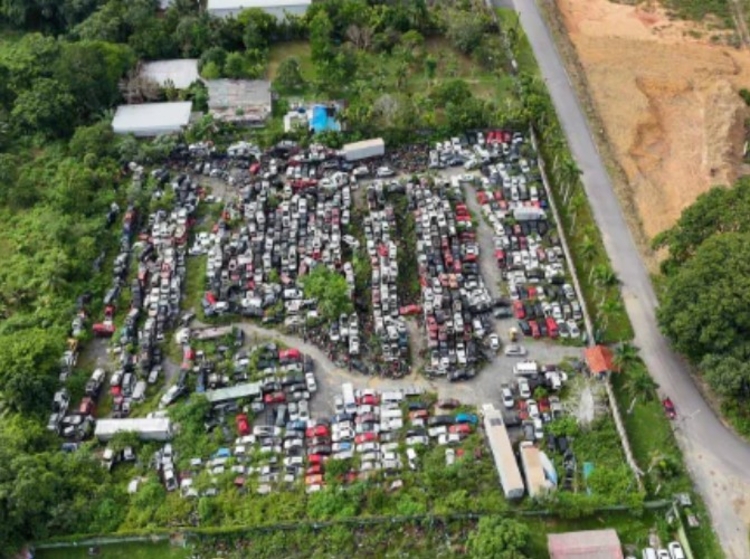 Foto: Neto Silva/Portal do Holanda