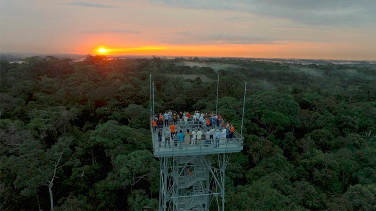 Torre com visão espetacular - Foto: Divulgação Musa