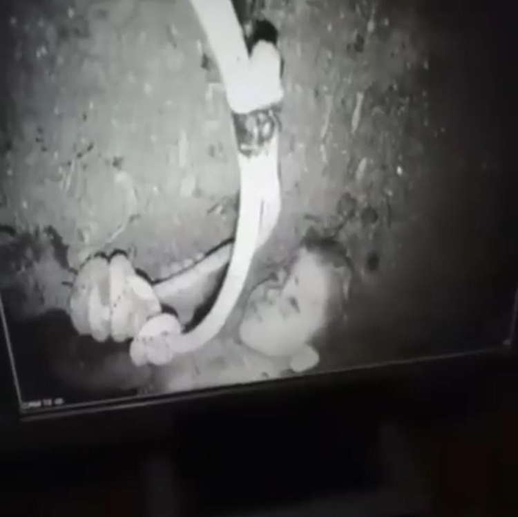 Equipes de resgate estão fornecendo água e oxigênio por meio de um tubo/Foto: Reprodução/Twitter