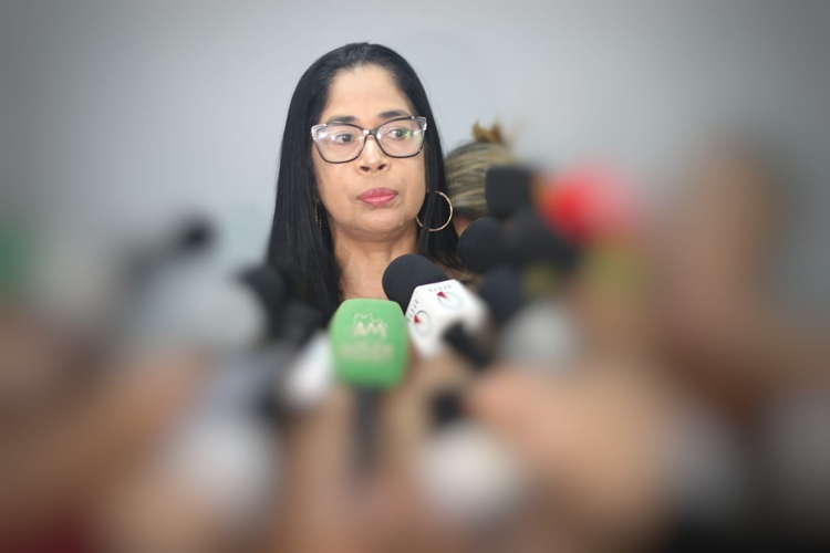 Delegada Joyce Coelho - Foto: Jander Robson / Portal do Holanda