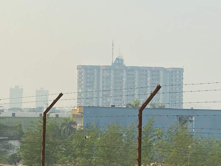 Foto: Luís Henrique/Portal do Holanda