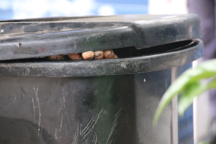 Corpo em lixeira - Foto: Jander Robson/Portal do Holanda