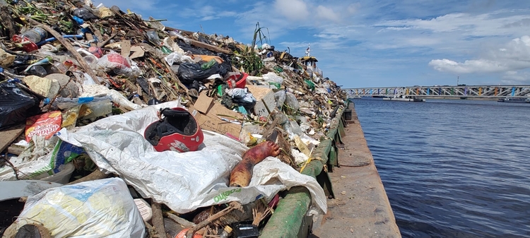 Perna humana - Foto: Divulgação 