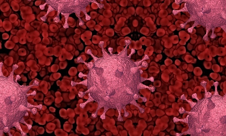 Variante do novo coronavírus (Foto: Pixabay)