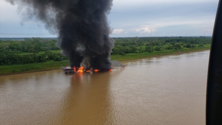 Foto: Divulgação / Ibama
