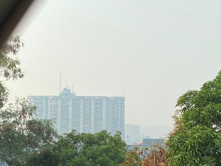 Foto: Luís Henrique/Portal do Holanda