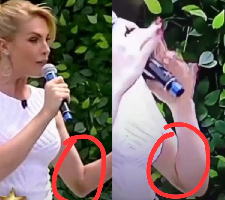 Ana Hickmann no 'Hoje em Dia' - Imagens: RecordTV