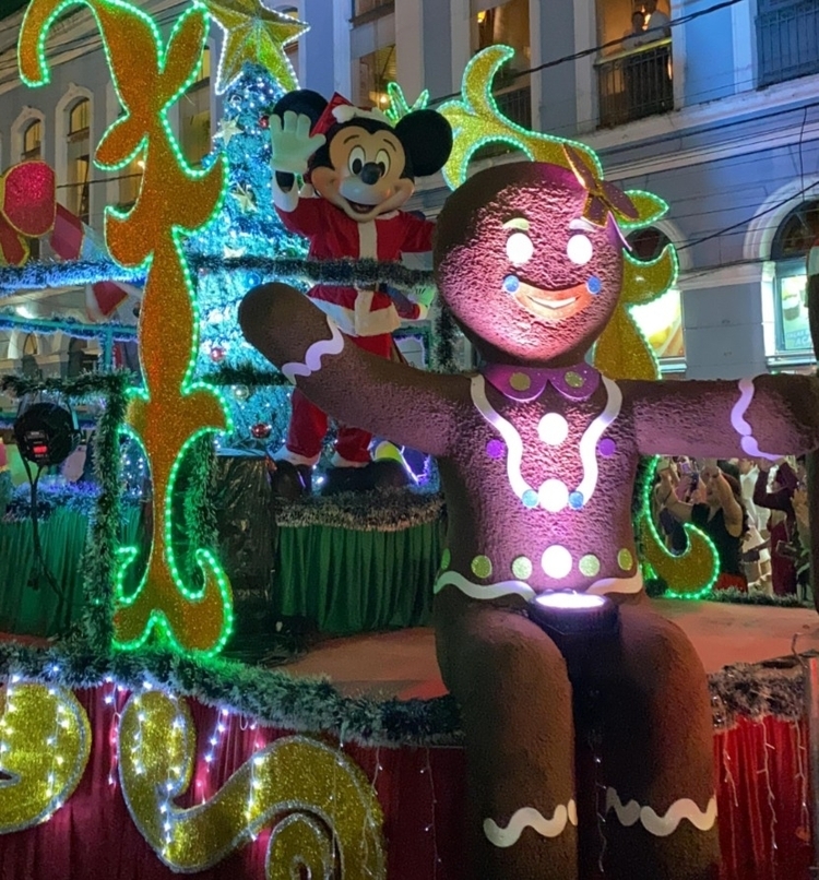 Foto: Portal do Holanda