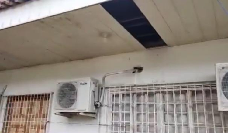 Foto: Reprodução / Rede AM