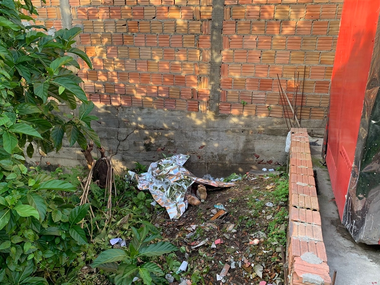 Foto: Caio Guarlotte / Portal do Holanda 