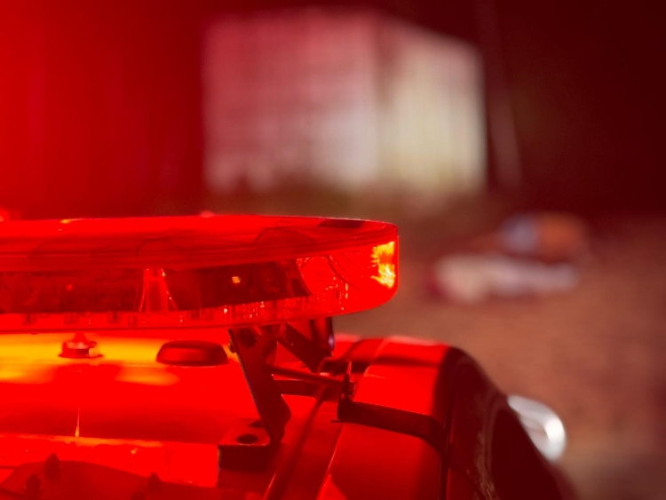 Foto: Neto Silva / Portal do Holanda