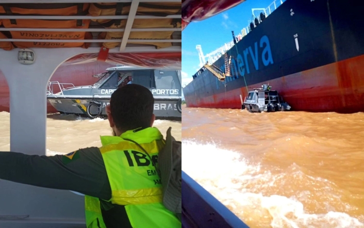 Foto: Divulgação Ibama do Amazonas