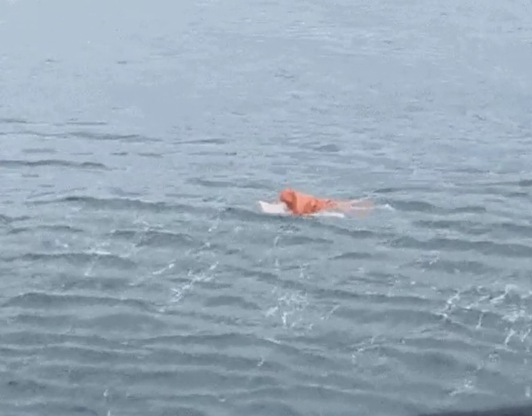 Rodrigo ficou à deriva por quase 20 horas - Foto: Divulgação 