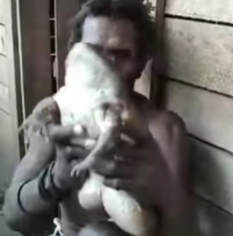Vídeo de sapão gigante viralizou - Foto: Reprodução/Youtube