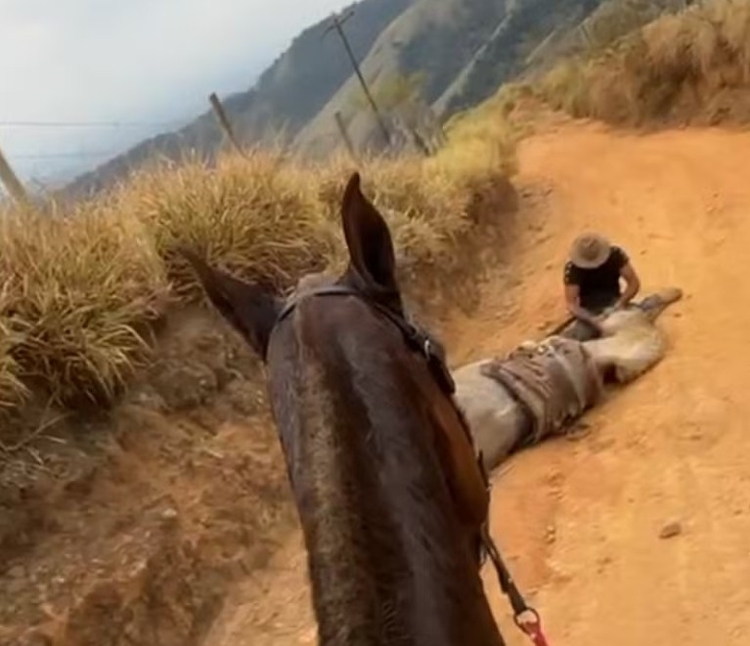 Testemunha filma Andrey Guilherme / Foto: Divulgação