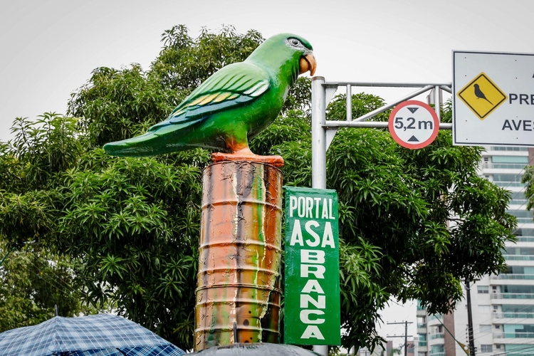 Foto: João Viana / Semcom