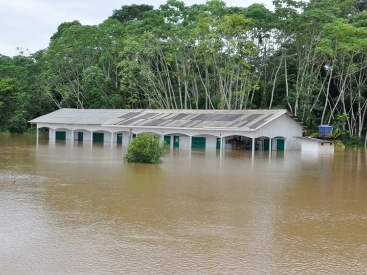 Em Humaitá, no Rio Madeira, casas estão totalmente debaixo d'água  / Foto: Semcom