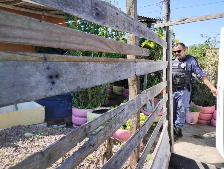 Foto: Caio Guarlotte/ Portal do Holanda 