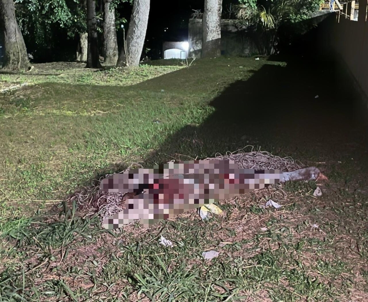 Foto: Jander Robson / Portal do Holanda