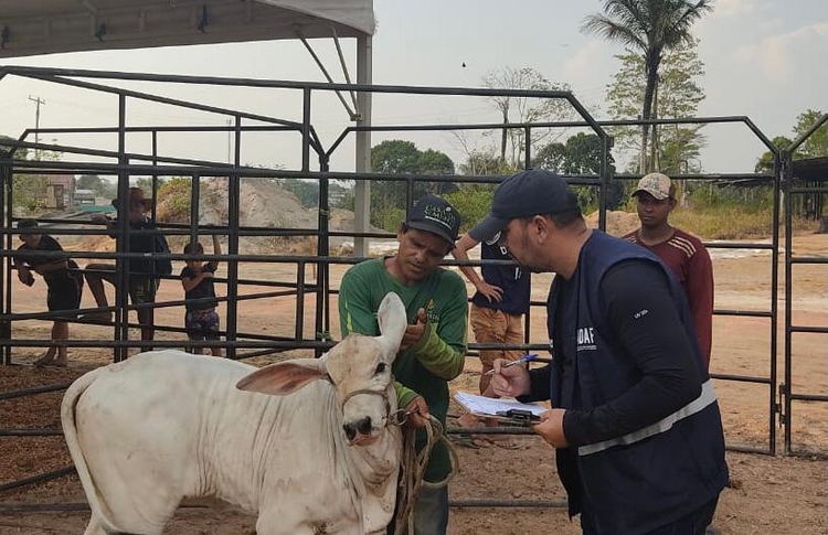 Foto: Divulgação/Adaf