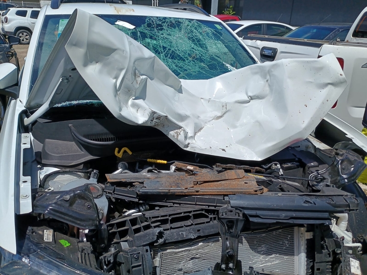 Foto: Jander Robson/Portal do Holanda