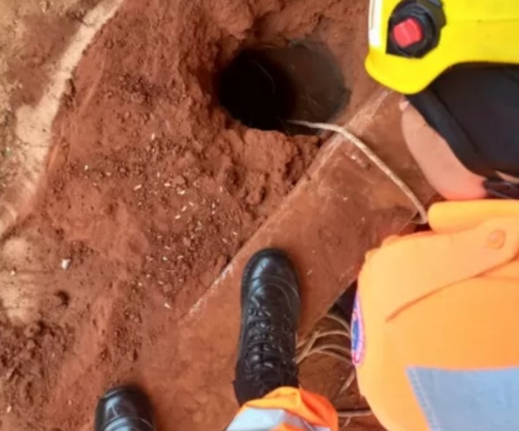 Foto: Divulgação/CBMMG