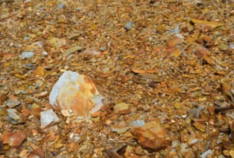 Foto: José Cruz/Agência Brasil