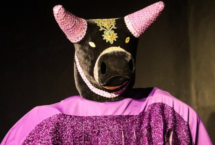 Boi Aboio - Foto: Divulgação