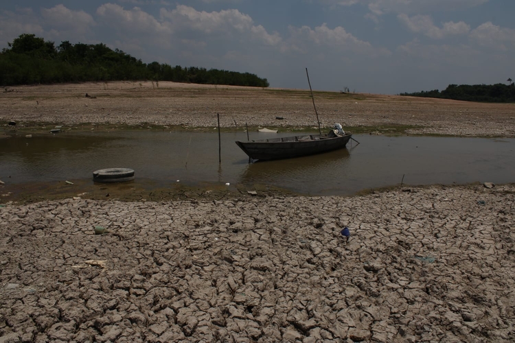 Foto: Ronaldo Siqueira / Portal do Holanda