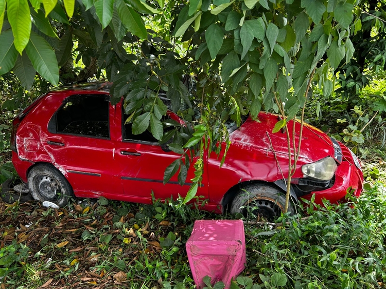 Foto: Jander Robson / Portal do Holanda