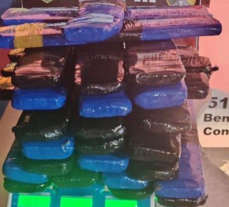 Drogas somam quase 42 kg - Foto: Divulgação 