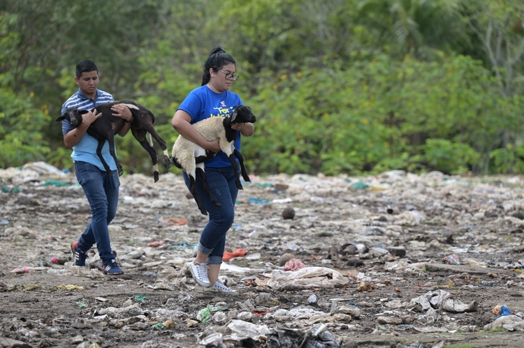 Mais de 30 animais foram resgatados na fazenda - Foto: Divulgação