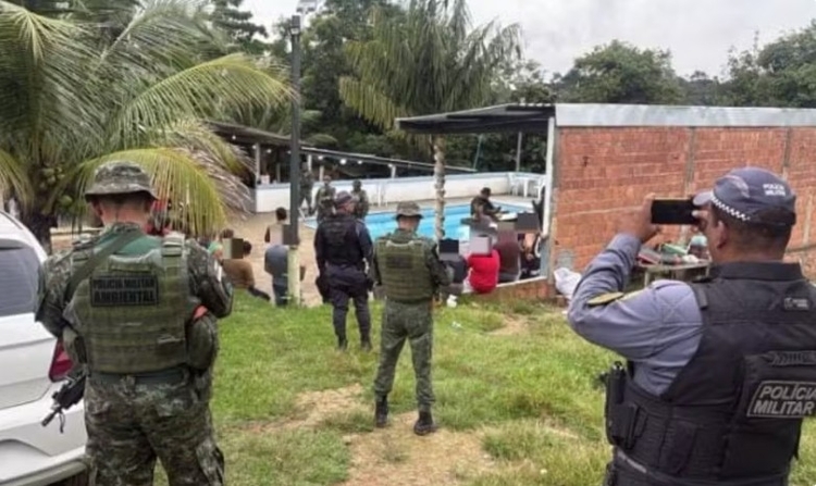 Animais estavam feridos - Foto: Divulgação 