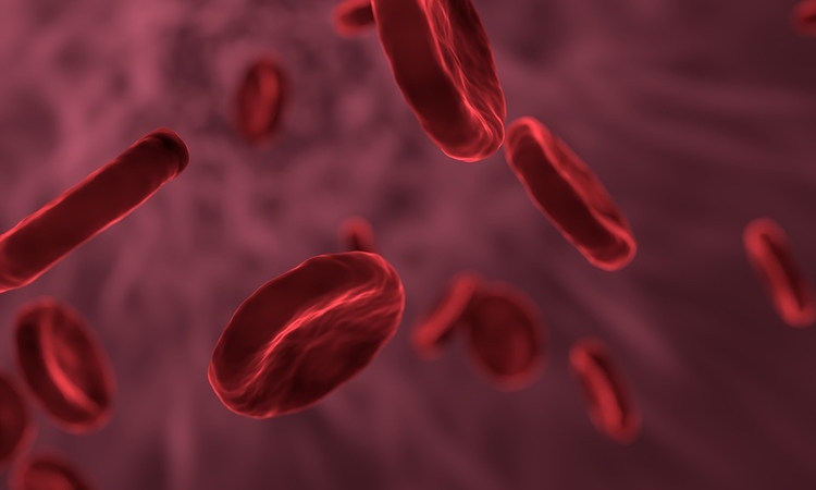 As talassemias se caracterizam pela redução ou ausência de hemoglobina - Imagem: Ilustrativa/Pixabay