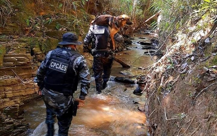 Foto: Divulgação/Polícia Militar de Goiás
