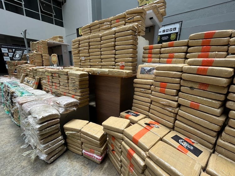 Drogas apreendidas - Foto: Jander Robson/Portal do Holanda