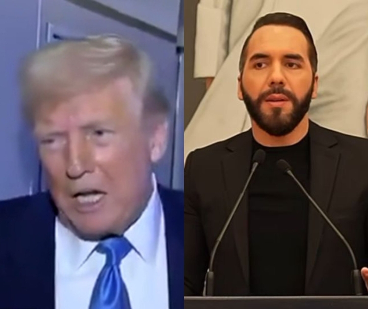 Montagem com imagens de Trump e Bukele / Foto: Reprodução