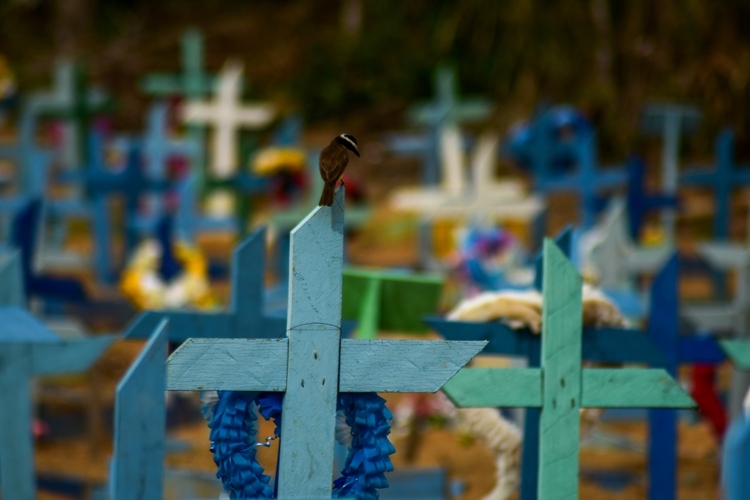 País enterra todos os dias mais de 1 mil pessoas - Foto: Divulgação Semcom