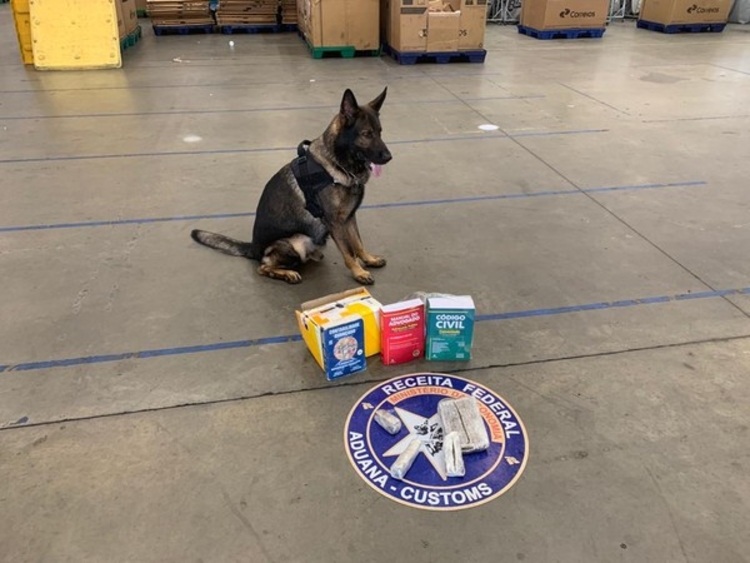 Agente canino Odin encontrou as drogas. Foto: Divulgação