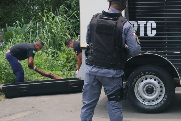 Um golpe fatal - Foto: Jander Robson/Portal do Holanda