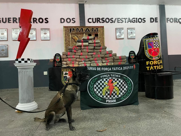 Cães farejaram o esconderijo dos crimiosos - Foto: Divulgação 