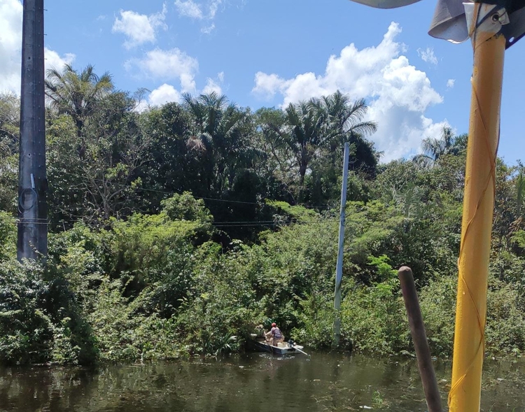 Buscas cobrem agora área de mata - Foto: Divulgação CB