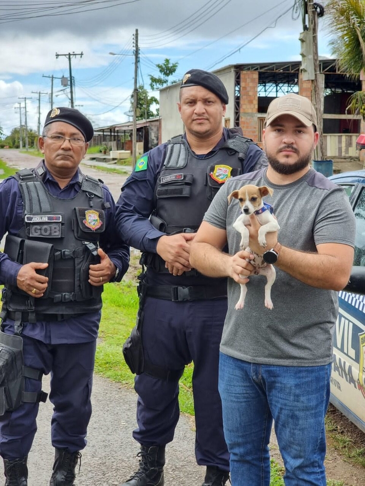 Cãozinho estava quieto quando foi agredido - Foto: Divulgação