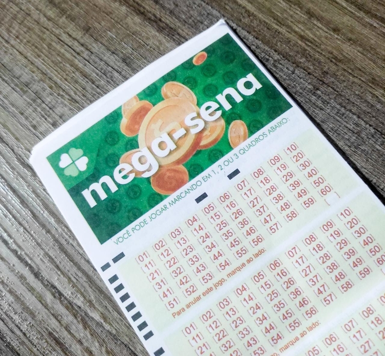 Foto: Yasmin Feitosa / Portal do Holanda