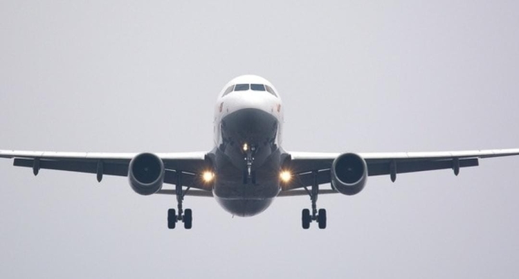 Foto: Reprodução / Pixabay