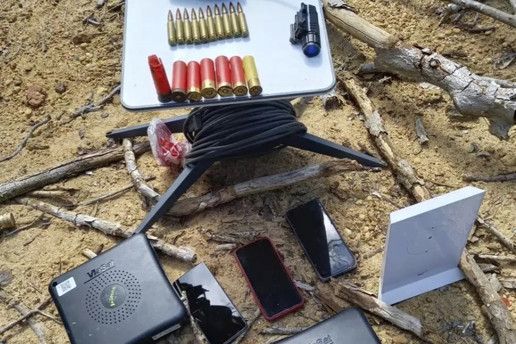 Foto: Divulgação Ibama